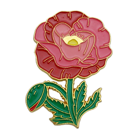 Rosa