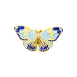 Mariposa azul