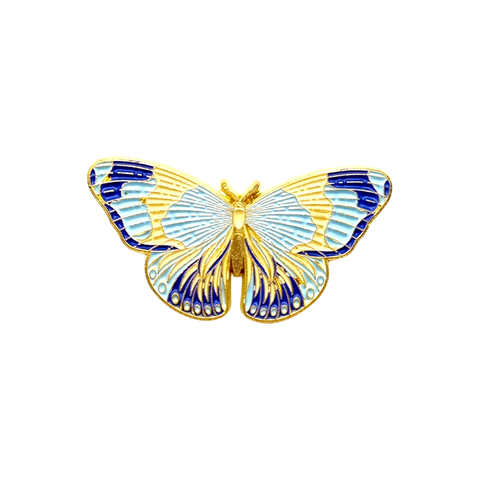 Mariposa azul